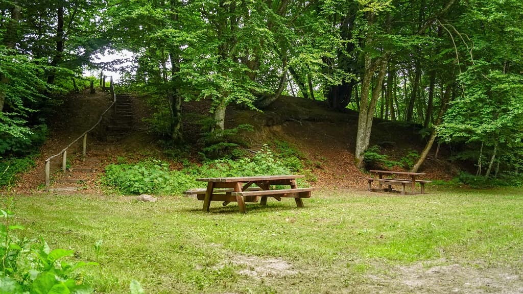 Pajhede Skov und Nymølle Bæk