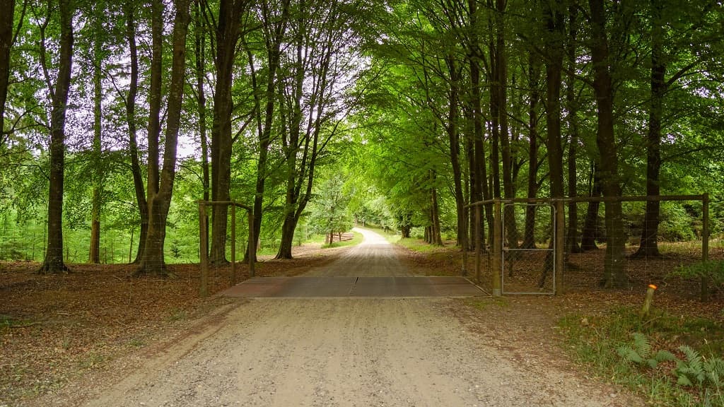 Pajhede Skov und Nymølle Bæk