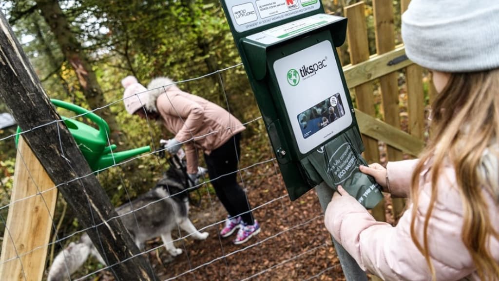 Hundegelände in Ørum