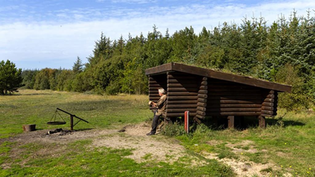 Shelters in Tornby Klitplantage