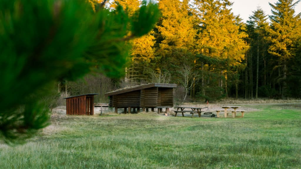 Tornby Klitplantage (Dune Plantation)
