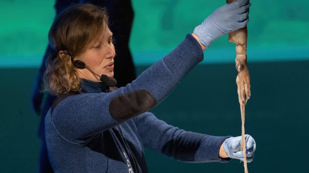 Das Nordsee Ozeanarium