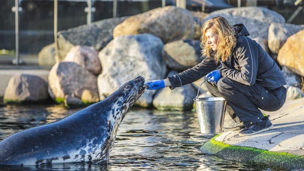 Das Nordsee Ozeanarium