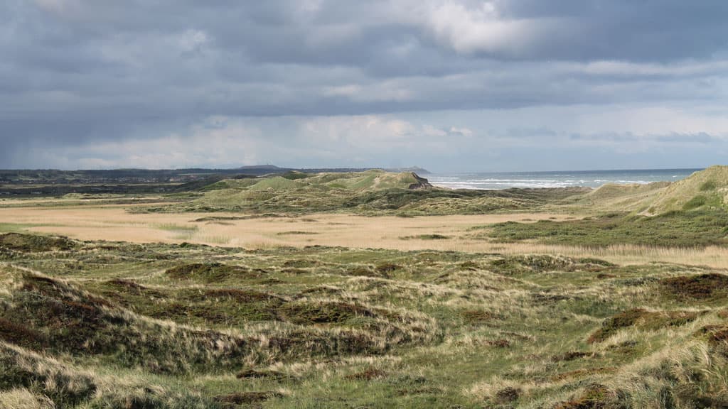 Tornby Klitplantage (Dune Plantation)