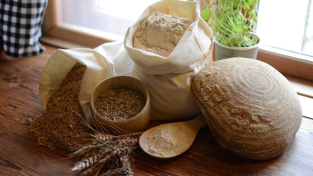 Vester Hedegaard - Økologisk korn og mel