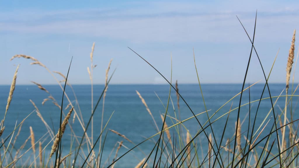 Havblik Café & Restaurant