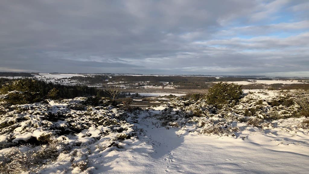 Sønderkol | Rebild Bakker