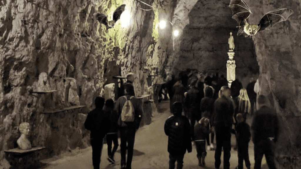 Fortællingen om flagermusene i Thingbæk kalkminer