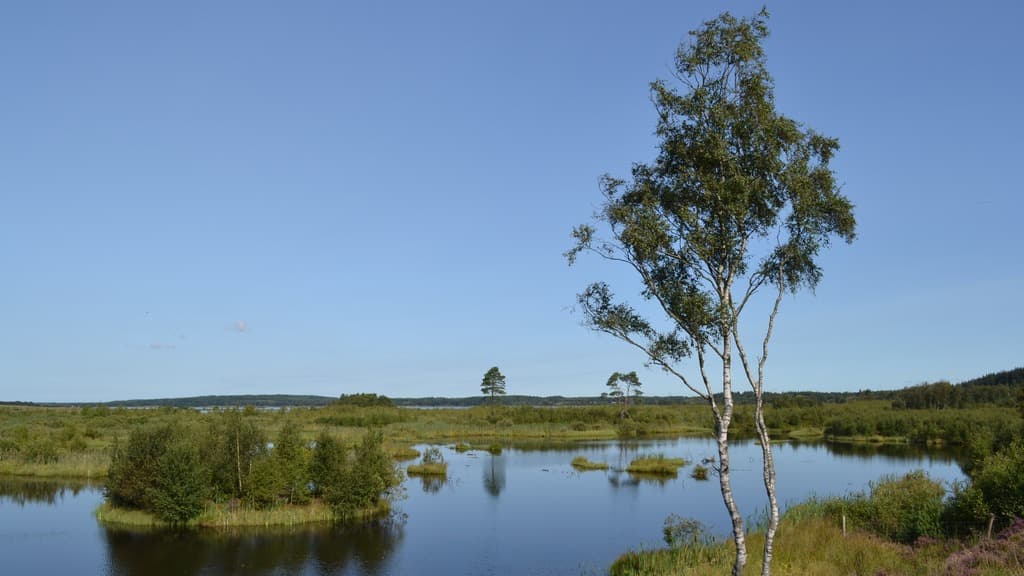 Bølling Sø bei Silkeborg