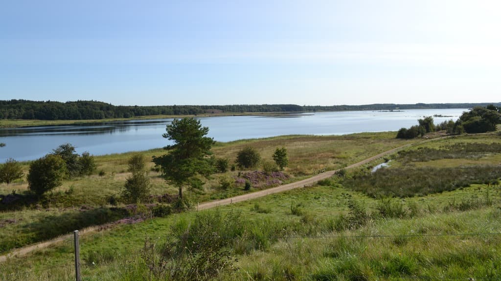 Bølling Sø bei Silkeborg