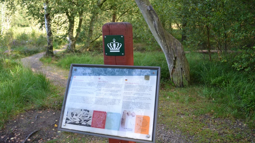 Bølling Sø bei Silkeborg