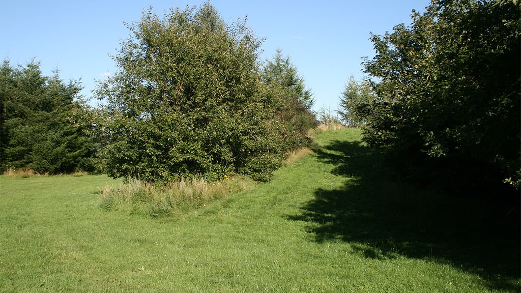 Skoleskoven, shelter bei Vejen