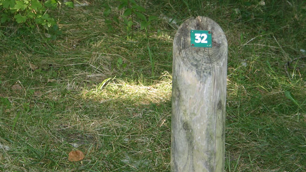 Skoleskoven bei Vejen