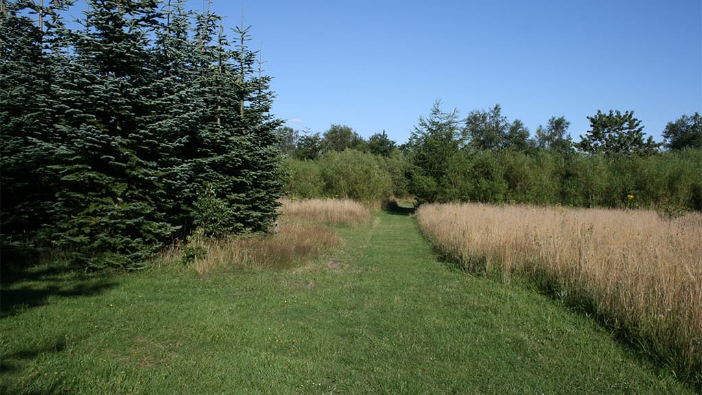 Skoleskoven, shelter bei Vejen