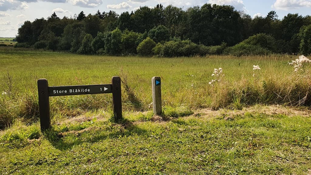 Store Blåkilde (Quelle) 