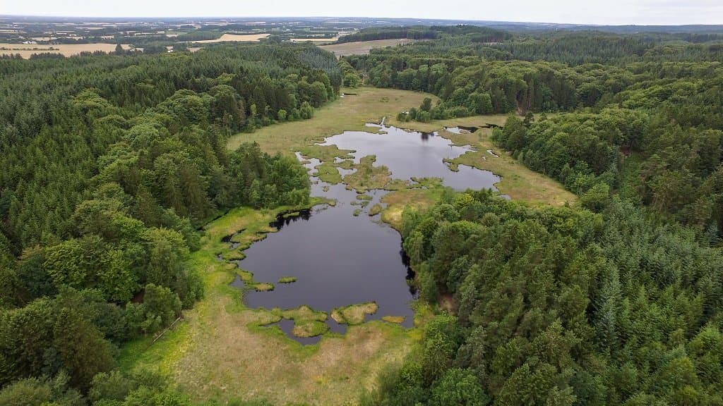 Dronninglund Wald und Sømosen