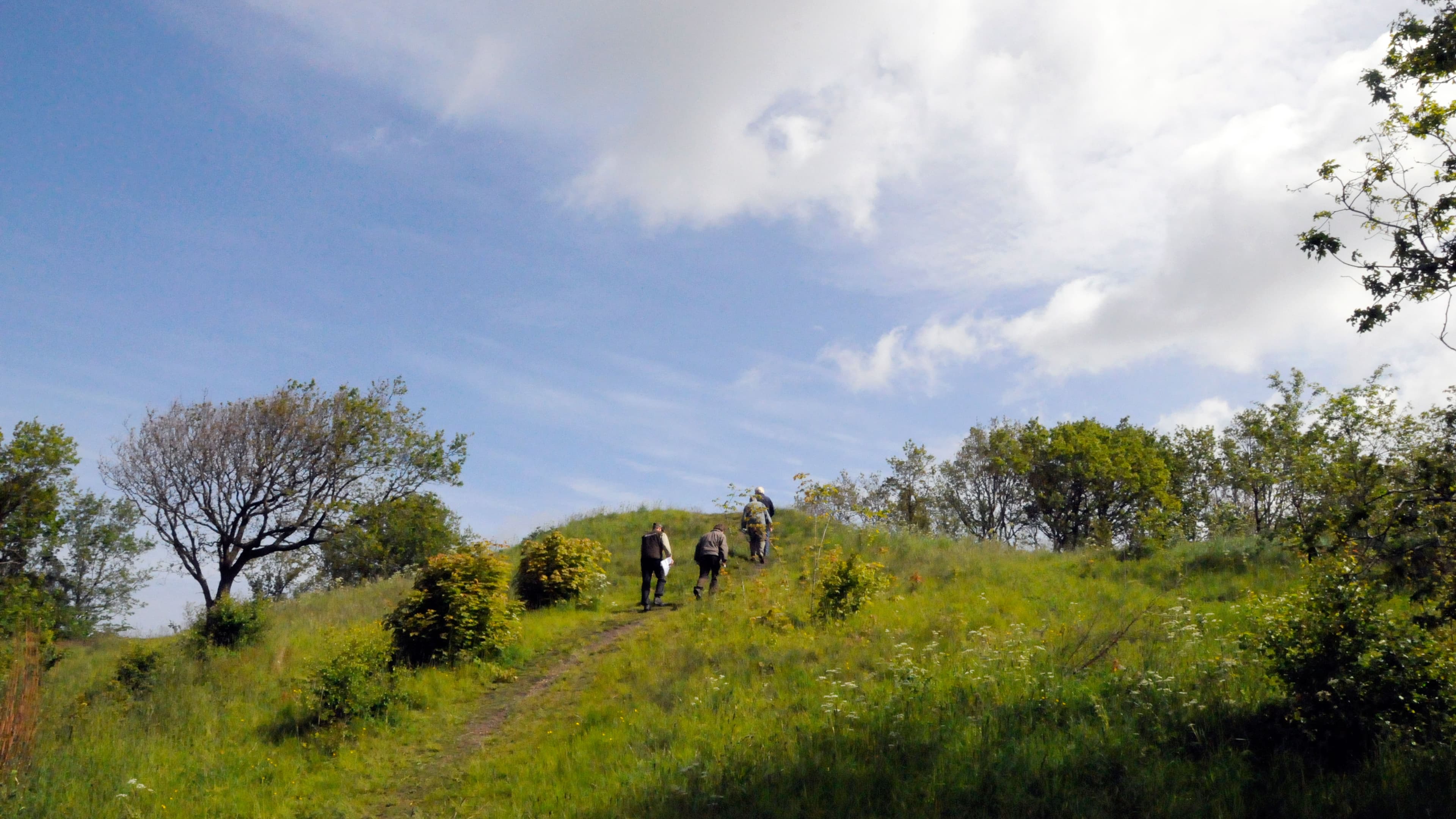 Signalbakken - Der Signal-Hügel
