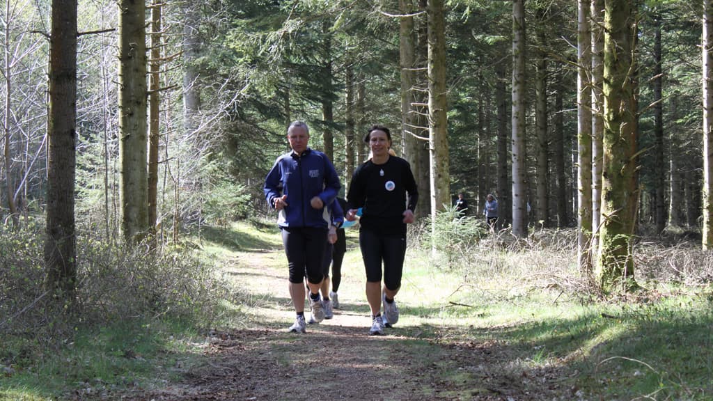 Blokhus Klitplantage - Shelters