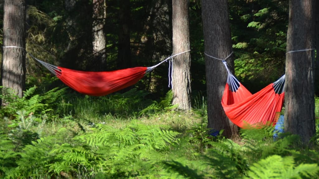 Blokhus Klitplantage - Shelters