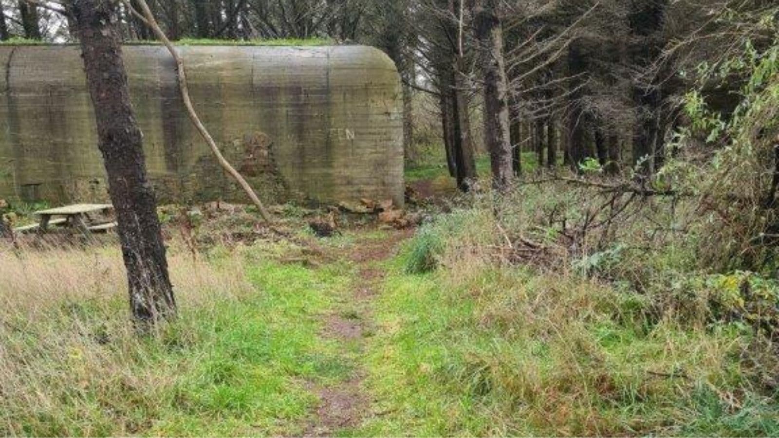 Die Bunker in Løkken und Umgebung
