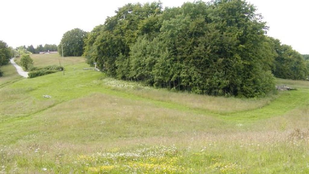 The cottage Hanebakkehytten