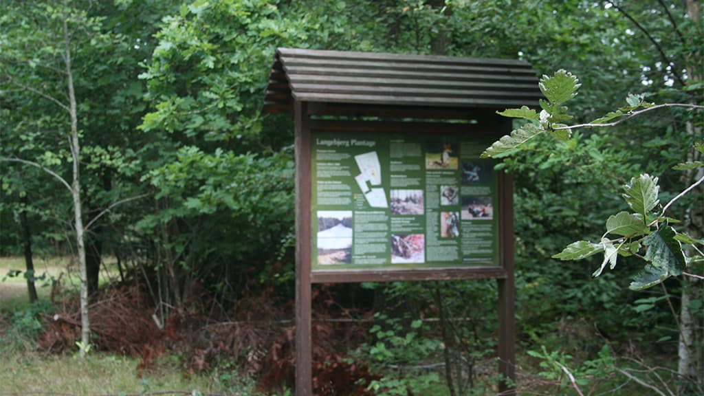 Die Spur in Tranekær Mose
