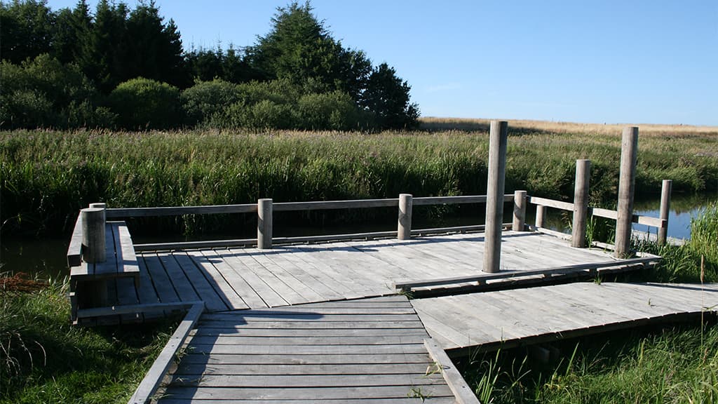 Behindertenfreundlicher Angelplatz