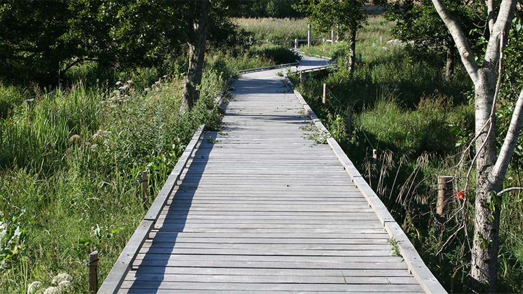 Behindertenfreundlicher Angelplatz