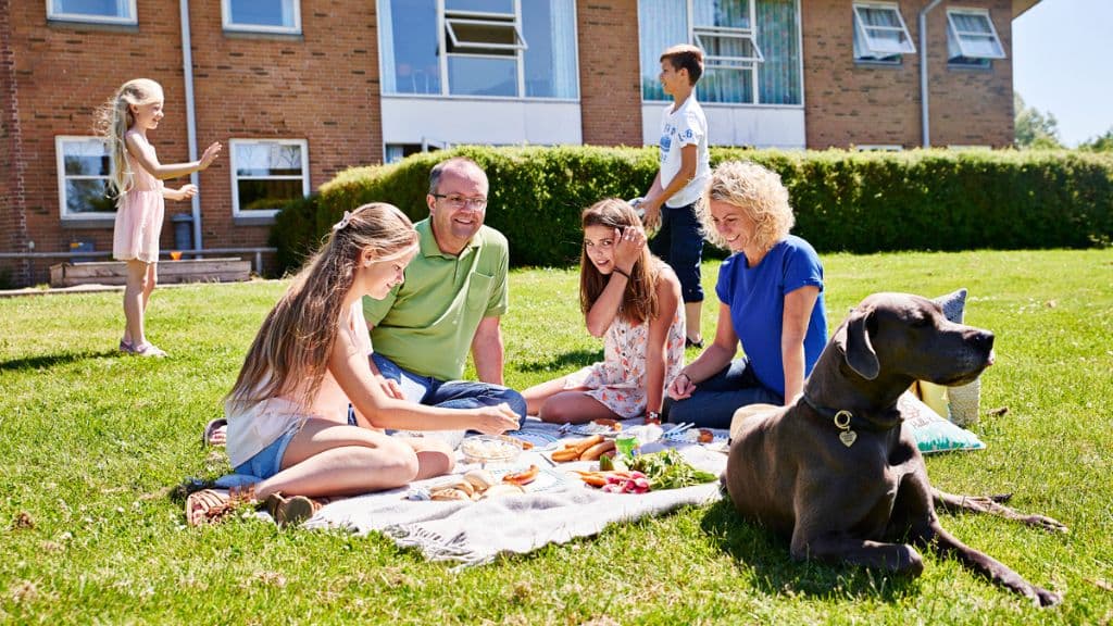 Picknick auf der Wiese beim GIVSKUD ZOO HOSTEL