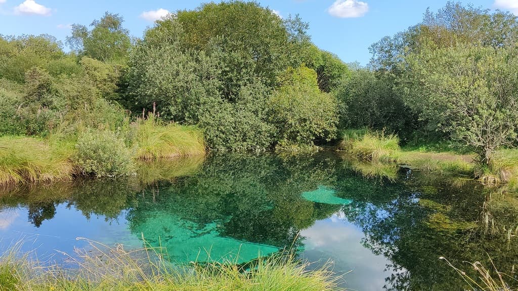 Store Blåkilde (Quelle)